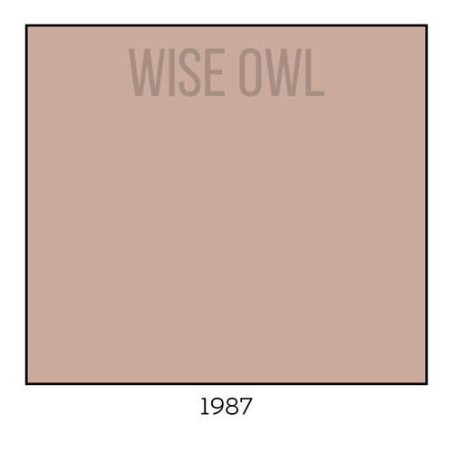 Wise Owl One Hour Enamel – Ultra Durable Furniture Paint