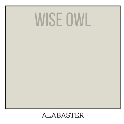 Wise Owl One Hour Enamel – Ultra Durable Furniture Paint