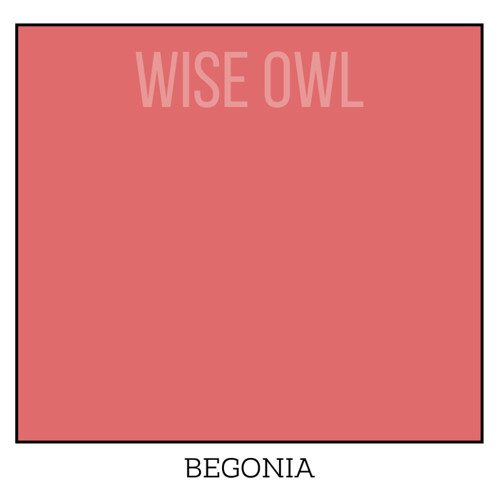 Wise Owl One Hour Enamel – ultraodolná farba na nábytok