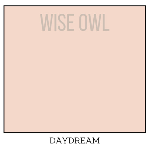 Wise Owl One Hour Enamel – ultraodolná farba na nábytok