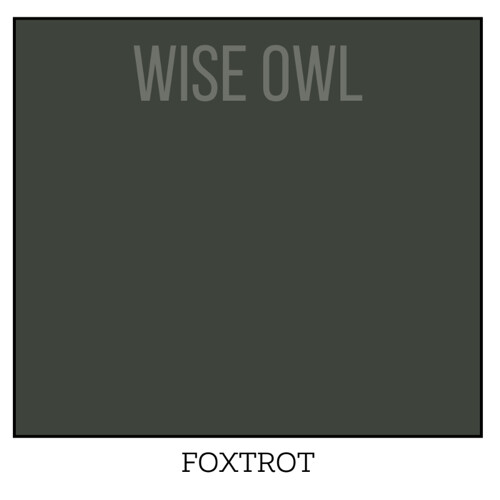 Wise Owl One Hour Enamel – Ultra Durable Furniture Paint