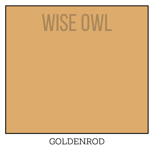 Wise Owl One Hour Enamel – Ultra Durable Furniture Paint