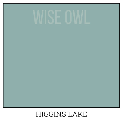 Wise Owl One Hour Enamel – ultraodolná farba na nábytok