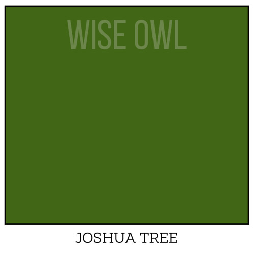 Wise Owl One Hour Enamel – Ultra Durable Furniture Paint
