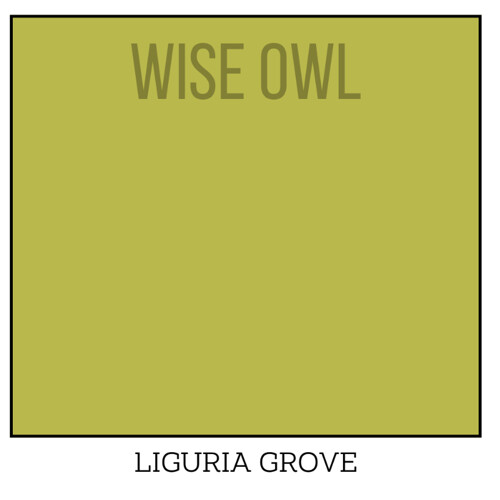 Wise Owl One Hour Enamel – Ultra Durable Furniture Paint