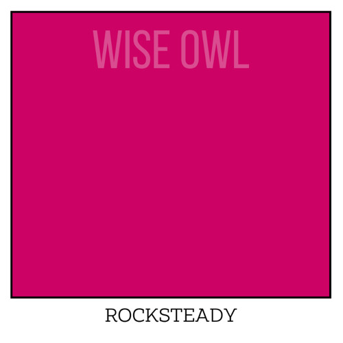 Wise Owl One Hour Enamel – Ultra Durable Furniture Paint