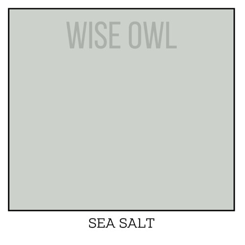 Wise Owl One Hour Enamel – ultraodolná farba na nábytok
