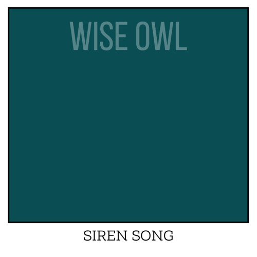 Wise Owl One Hour Enamel – Ultra Durable Furniture Paint