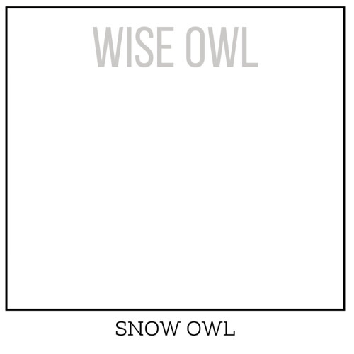 Wise Owl One Hour Enamel – Ultra Durable Furniture Paint