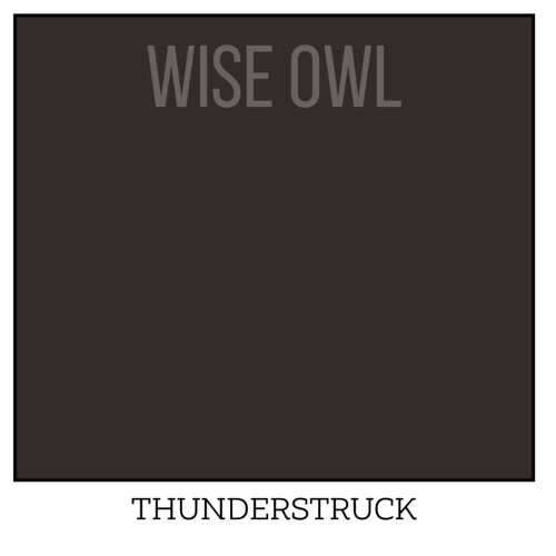 Wise Owl One Hour Enamel – ultraodolná farba na nábytok