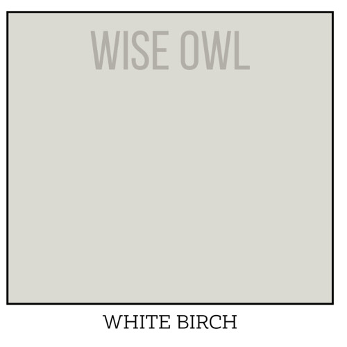 Wise Owl One Hour Enamel – ultraodolná farba na nábytok