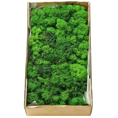 Stabilizovaný mach/lišajník - Medium GREEN 500g