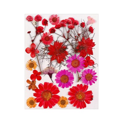 Prírodné lisované sušené farebné kvety 
