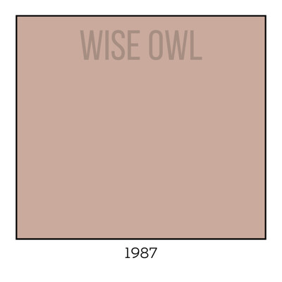 Wise Owl One Hour Enamel – ultraodolná farba na nábytok