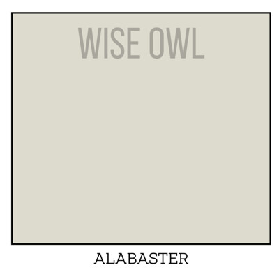 Wise Owl One Hour Enamel – ultraodolná farba na nábytok