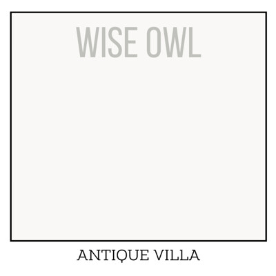 Wise Owl One Hour Enamel – ultraodolná farba na nábytok