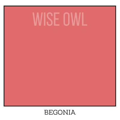 Wise Owl One Hour Enamel – ultraodolná farba na nábytok