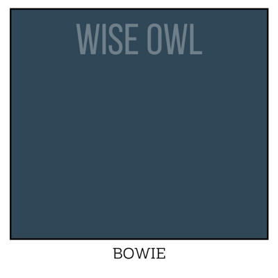 Wise Owl One Hour Enamel – ultraodolná farba na nábytok