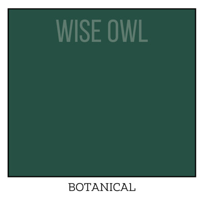Wise Owl One Hour Enamel – ultraodolná farba na nábytok