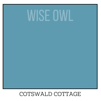 Wise Owl One Hour Enamel – Ultra Durable Furniture Paint