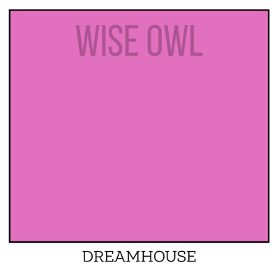 Wise Owl One Hour Enamel – Ultra Durable Furniture Paint