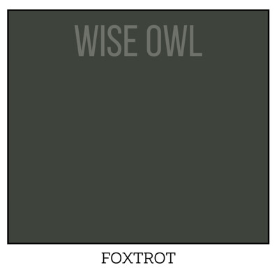 Wise Owl One Hour Enamel – Ultra Durable Furniture Paint