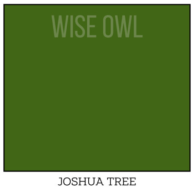 Wise Owl One Hour Enamel – ultraodolná farba na nábytok