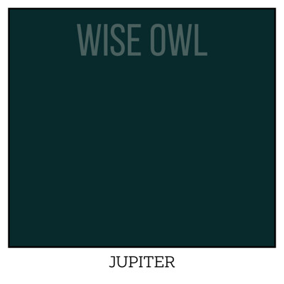 Wise Owl One Hour Enamel – ultraodolná farba na nábytok