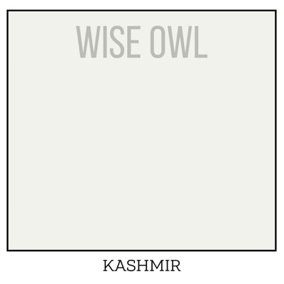 Wise Owl One Hour Enamel – ultraodolná farba na nábytok