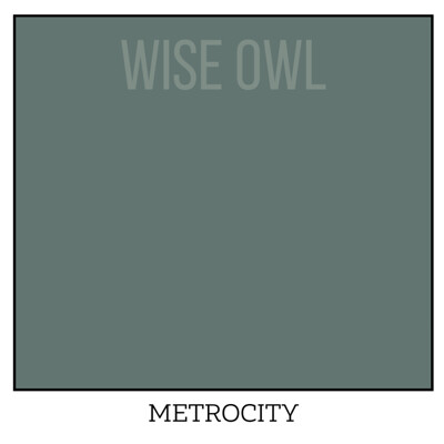 Wise Owl One Hour Enamel – ultraodolná farba na nábytok