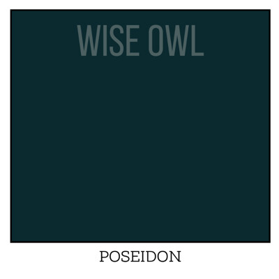 Wise Owl One Hour Enamel – ultraodolná farba na nábytok
