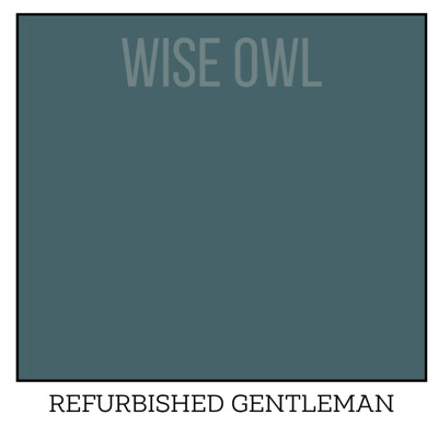 Wise Owl One Hour Enamel – ultraodolná farba na nábytok