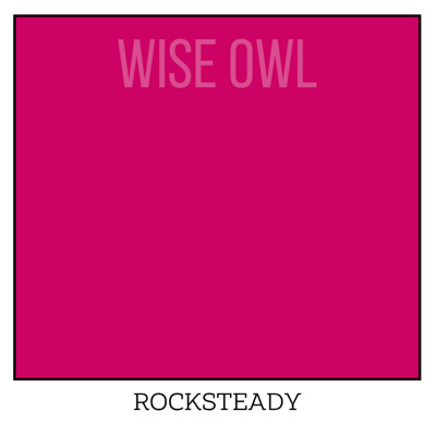 Wise Owl One Hour Enamel – ultraodolná farba na nábytok