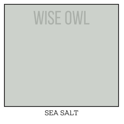 Wise Owl One Hour Enamel – ultraodolná farba na nábytok