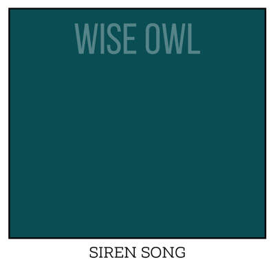 Wise Owl One Hour Enamel – ultraodolná farba na nábytok