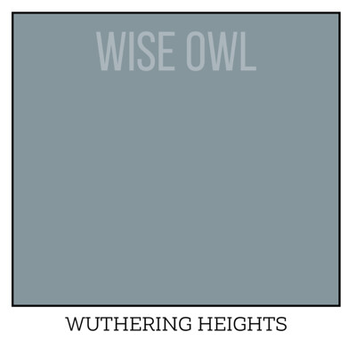 Wise Owl One Hour Enamel – ultraodolná farba na nábytok